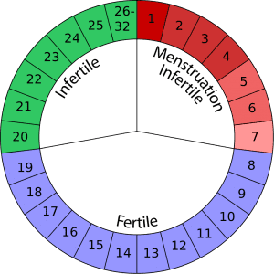 A diagram depicting a woman's menstrual cycle, showing the days when she is fertile, infertile, and menstruating. Menstrual cycle lengths vary, but the average is 28 days.