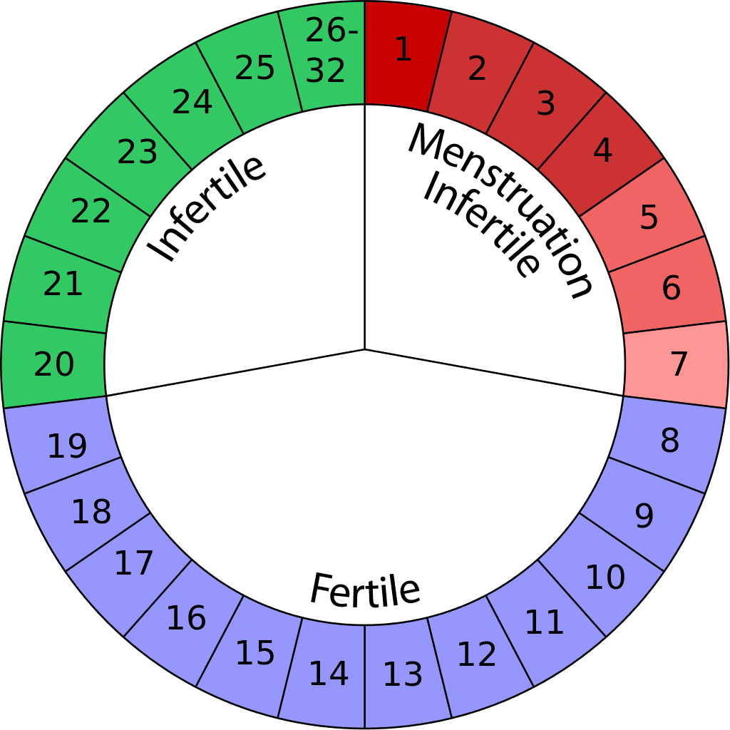Pregnancy Due Date Calculator Family Hype