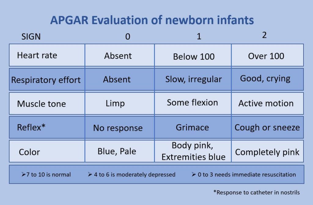 ati video case study reproduction apgar scoring