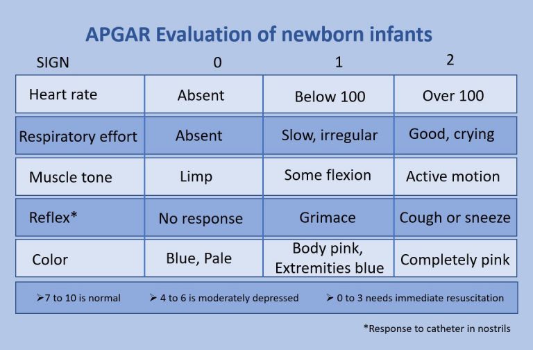 apgar-score-family-hype