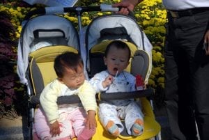 Twin brothers ride the double stroller in the outdoor garden while their father holds the handle bar and watches them.
