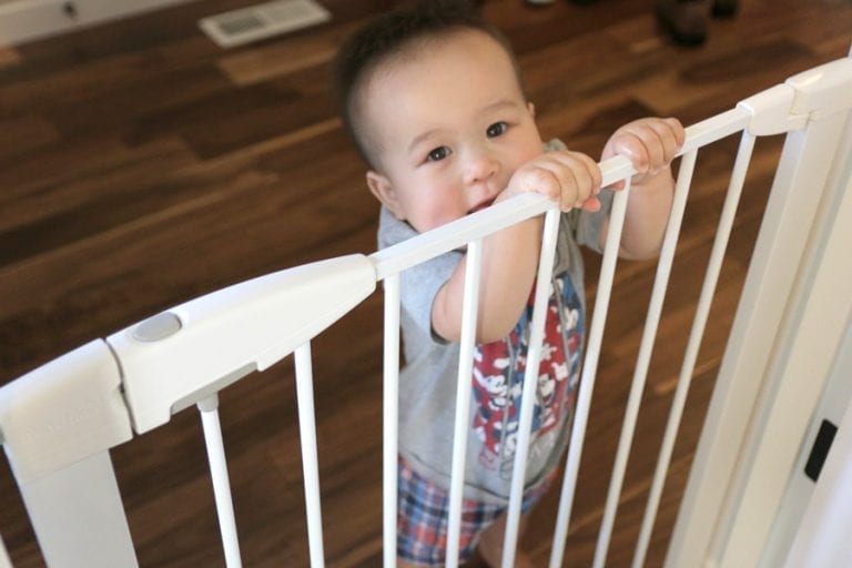 BabyProofing Best Baby Gates For A Wide Opening FamilyHype