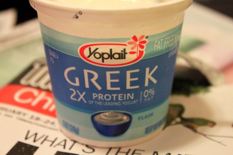 What are the best yogurt for babies 6 months old Family Hype