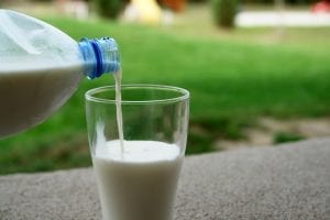 Fresh milk can be your top choice to drink when you are expecting.