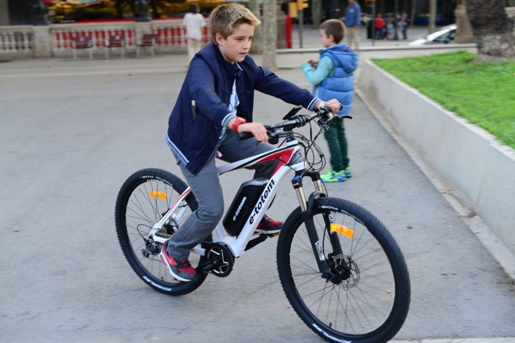 BMX Bike 20 inch – Low profile bikes