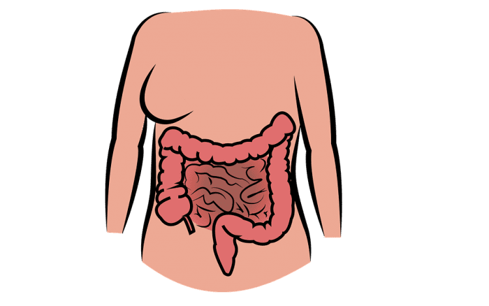 Good probiotics are best to keep a healthy digestive system