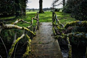 Bridge To Terabithia, a popular and award-winning classic of all times.