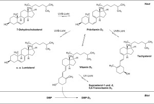 chemistry Carlson