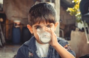 Milk is one of the good sources of getting thiamin, riboflavin and nutrient B12 for toddlers