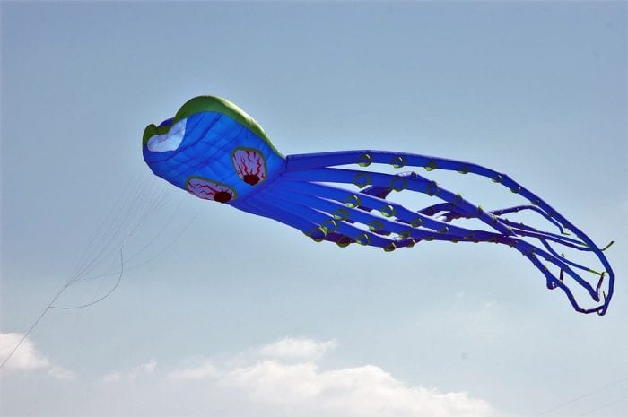 A kite as one of the best toys your kid can play with at seaside. 