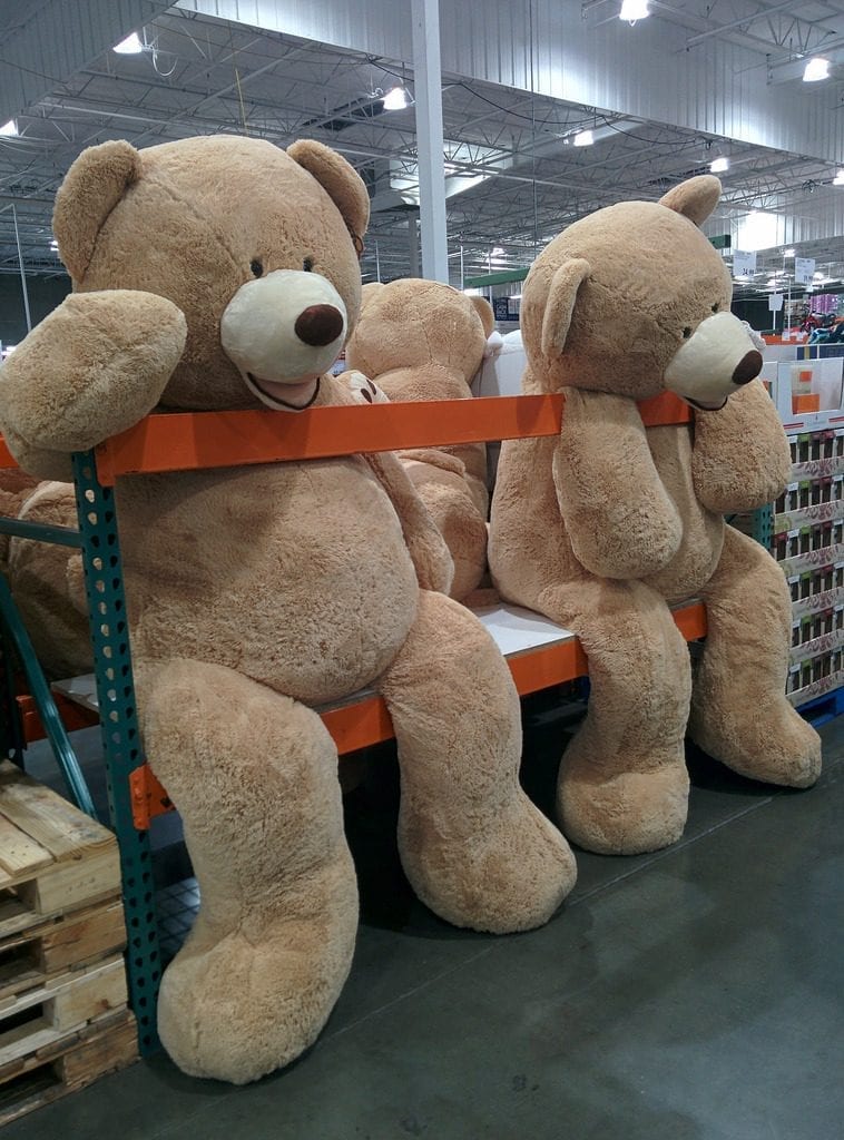 giant cuddly toys