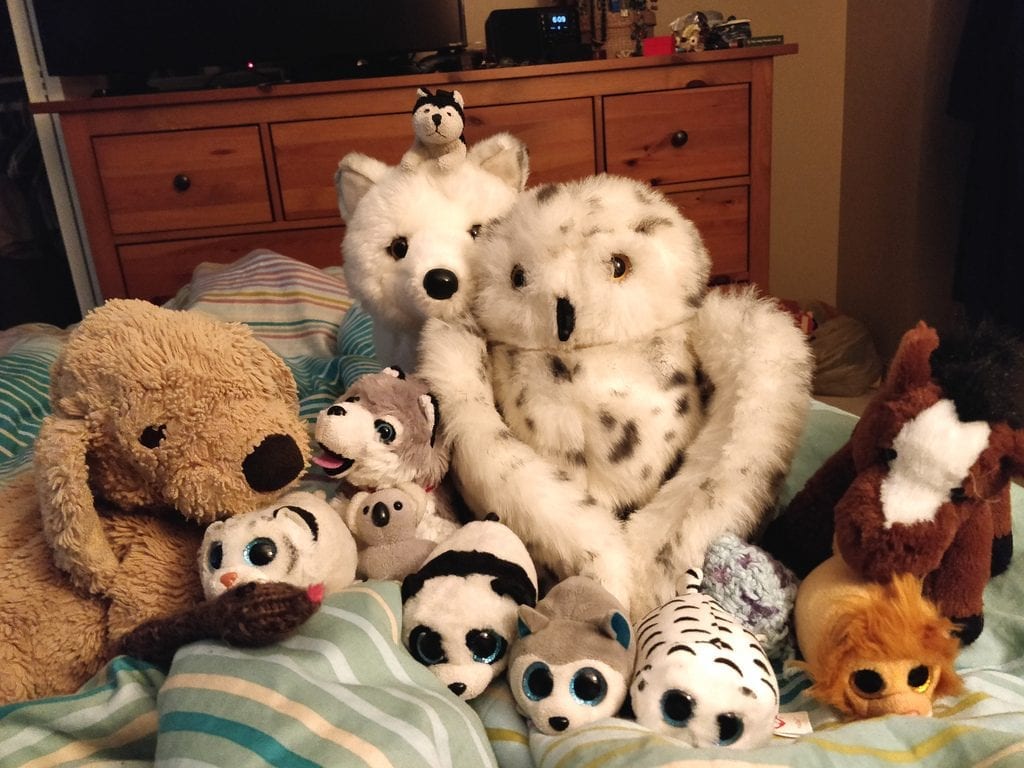 What Are The Best TY Stuffed Animals On The Market? Family Hype