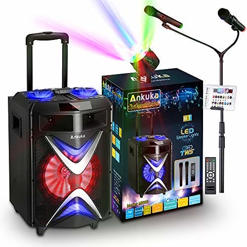 Portable karaoke with microphones. Can this be suited for kids? Read more about the microphones for kids. A stand with speakers and disco light