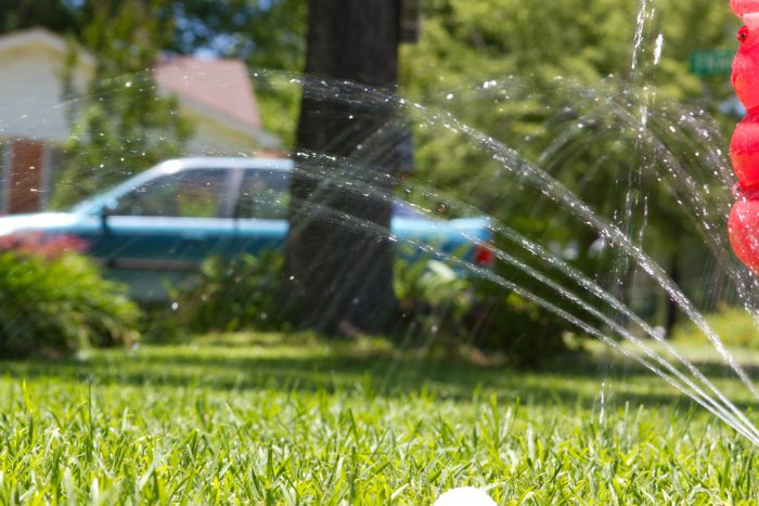 The sprinkler in the garden.