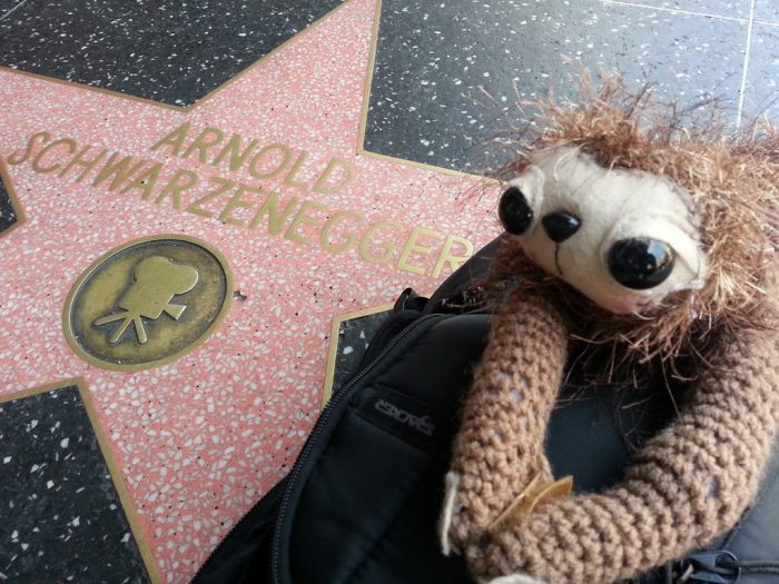 Cute stuffed sloth toy with large eyes and long hands in Arnold's
