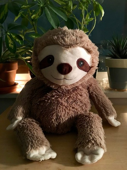 This cute little ugly sloth stuffed animal is weird but cuddly
