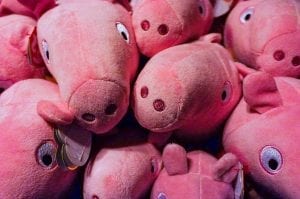 A collection of plush piggies with curious expressions.