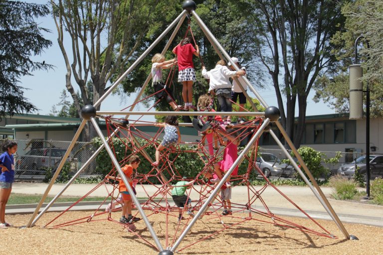 What Toddler Jungle Gym Set Is Safest? Family Hype