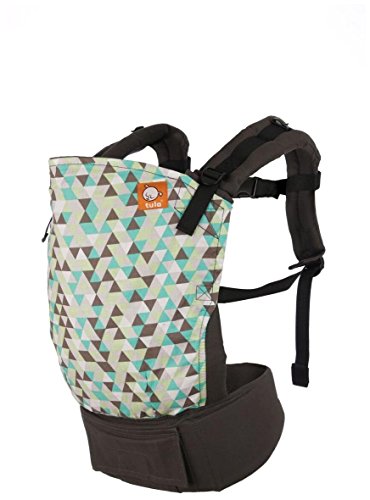 lillebaby or ergo