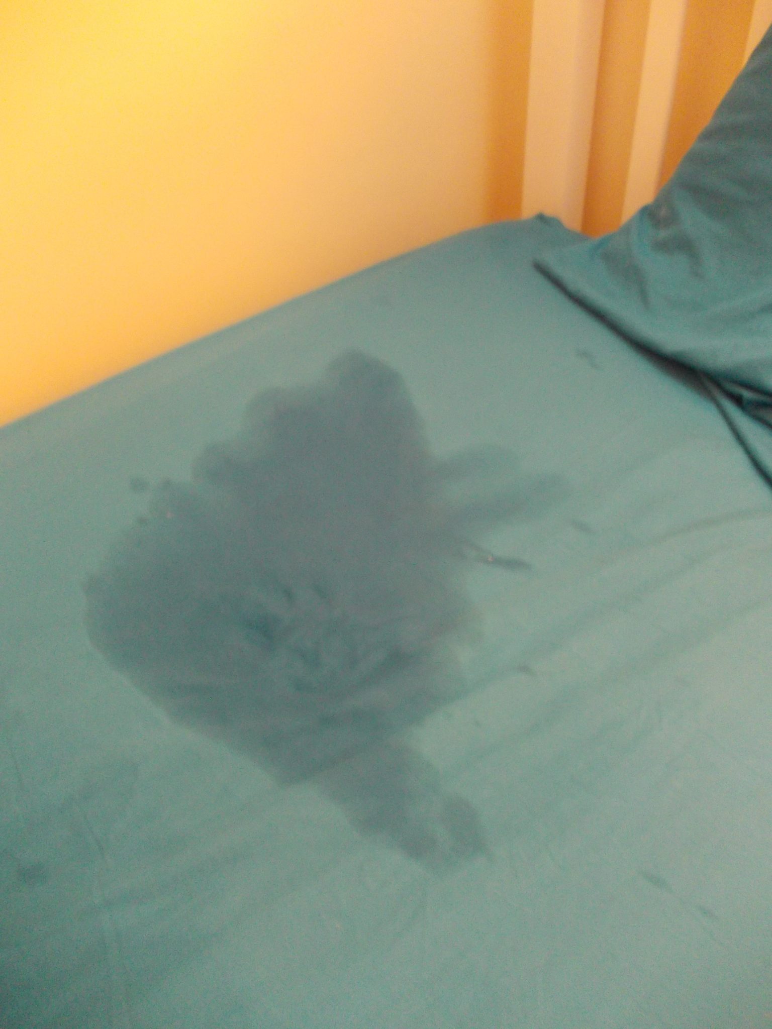 My 9 Year Old Still Wets Bed What Should I Do About It? Family Hype