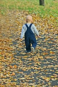 a little boy with blue shoes wearing jumper walking on the ground full of dried leaves. 