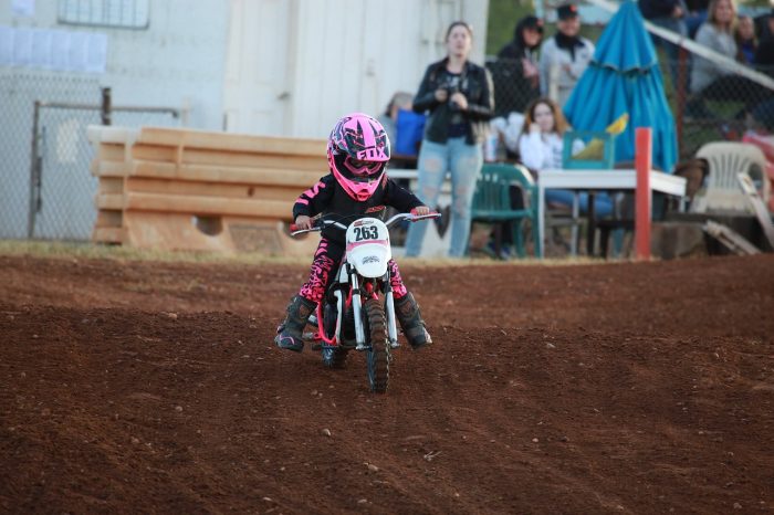 razor mx 450 dirt bike