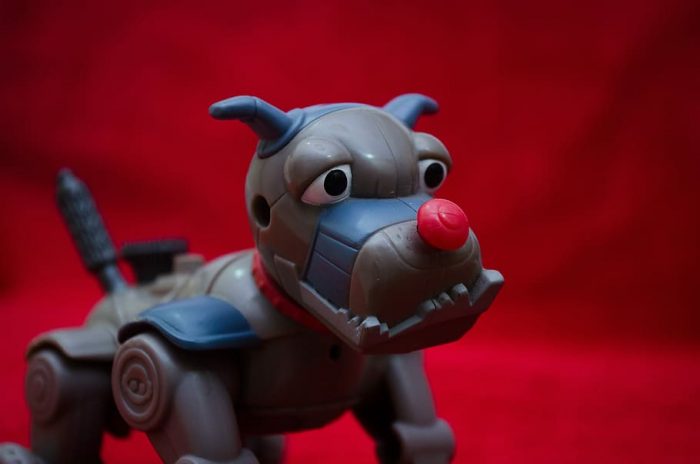 best robot pet for adults