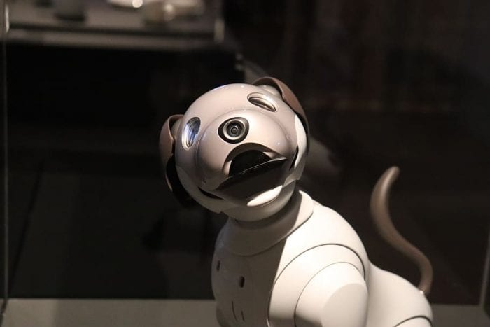 Smiling robot dog.