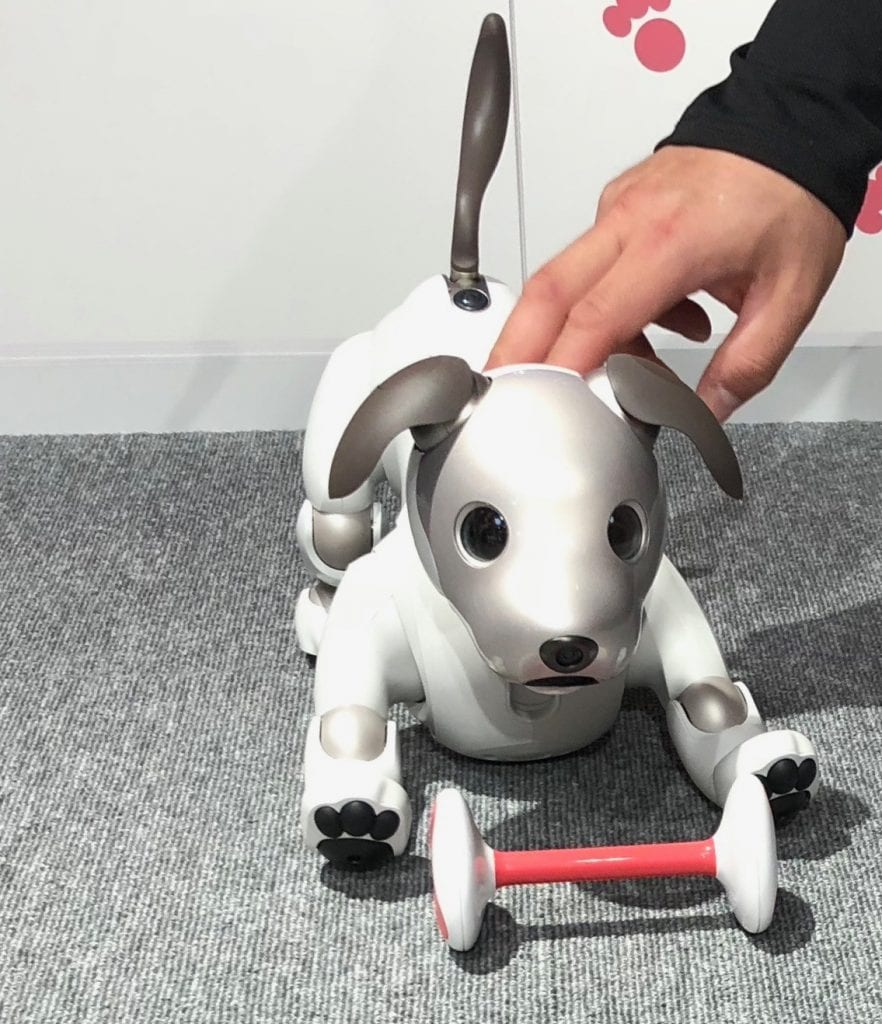 The robot dog pet also makes sound like a real dog. Aibo robot dog toy is a remote controlled toy that greets people and do movements like real dogs do. It has several functions that kids will definitely love. robot pet dog is equipped with cameras that allow it to learn the faces of people it interacts with so it can act like a real dog.