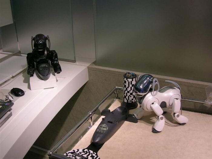 This robot toy dog is one of the best. It is pre-programmed that can do tricks and several dog movements. It is designed to continue to use all of the data it takes in and learn from it to evolve as a companion to its owners