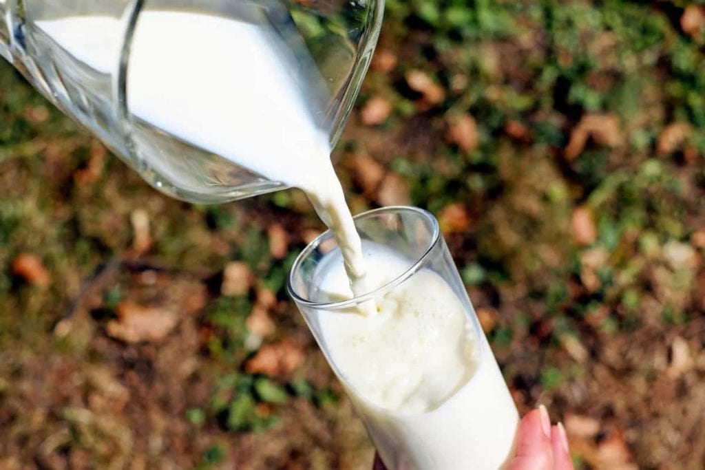 A glass of milk full of nutrients essential to both pregnant mom and baby needs. 