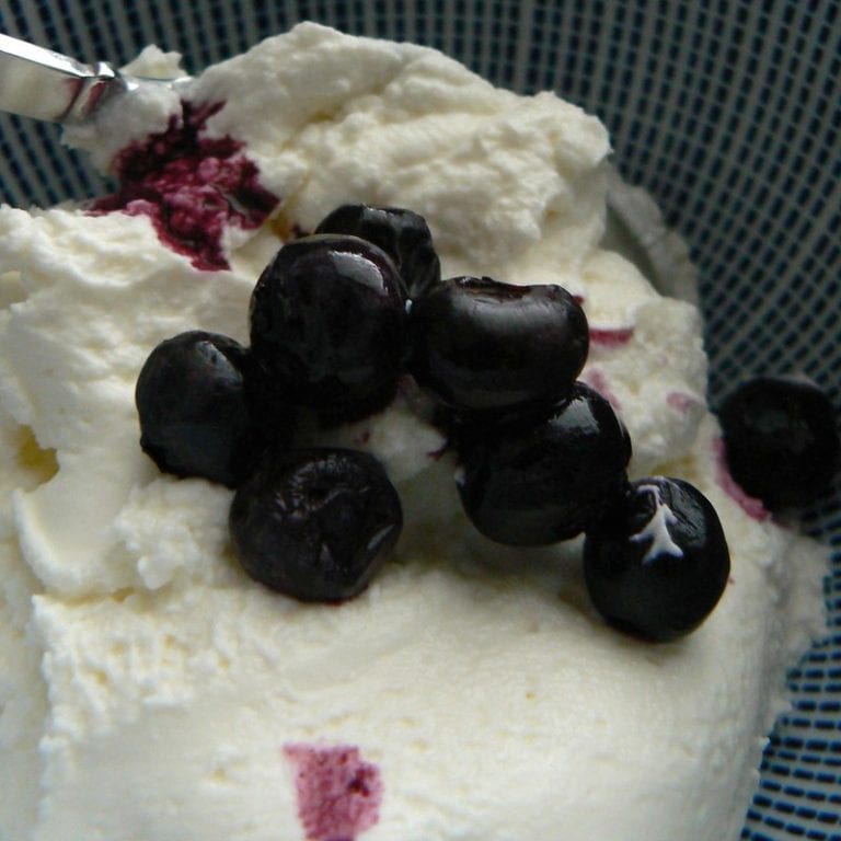 Greek Yogurt For Babies Family Hype