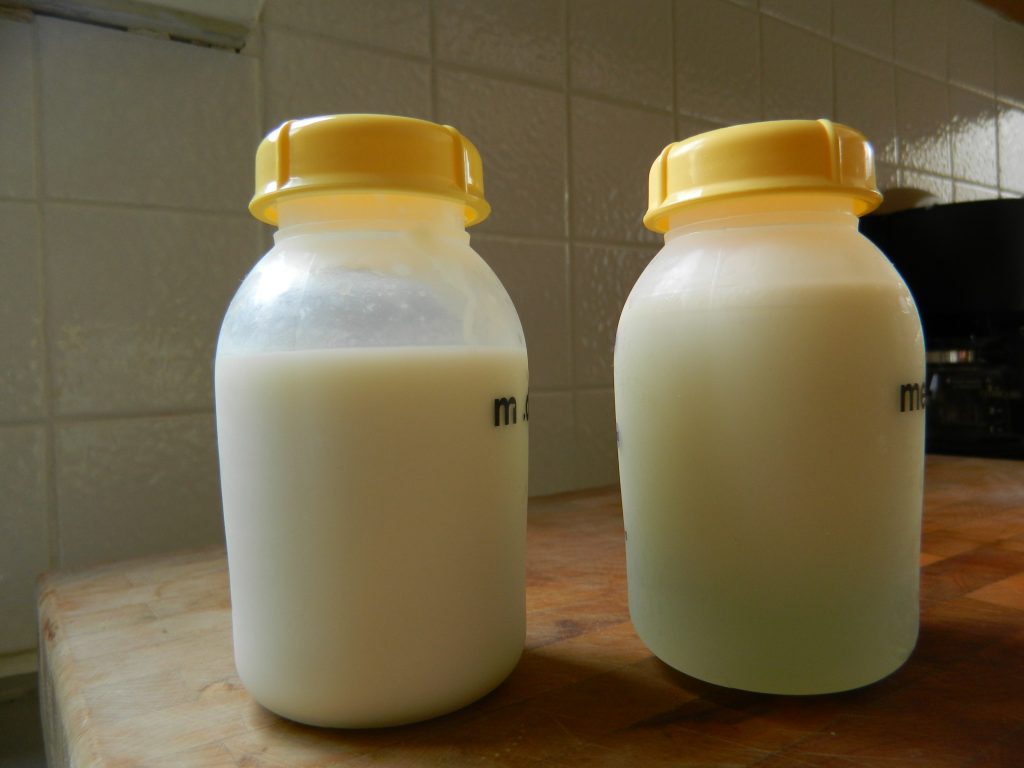 Breast milk in 2 bottles pumped by a mom using the Medela breast pump.