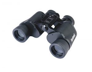 The Bushnell Falcon best and most affordable binocular contains a Porro prism glass that allows lots of light in which is great for night vision. Binoculars under budget.