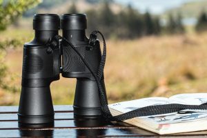 It is one of the best binoculars under your budget for those who like bird watching in the neighborhood to sports fans who want a better view of the players on the field, and even to kids who like to try to find the animals in the zoo enclosures or your kids want to check things in the park.