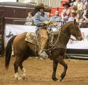 The AJ Tack Wholesale models wearing a leather burner.