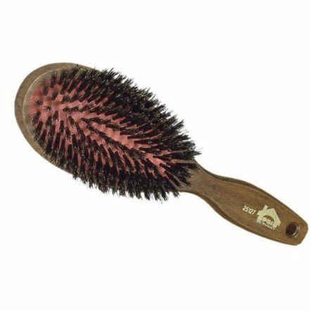 Best brush for dog