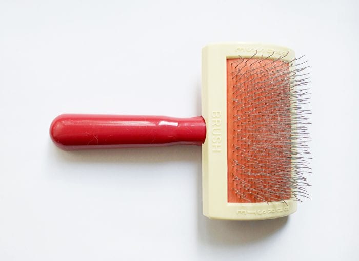 Best Brushes for Pitbulls Pitbull Brush Buying Guides Family Hype