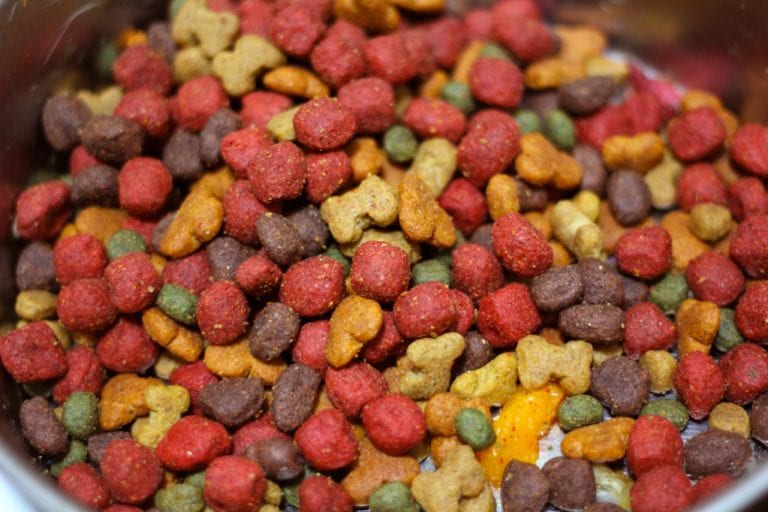 Dog Food For Dogs FamilyHype