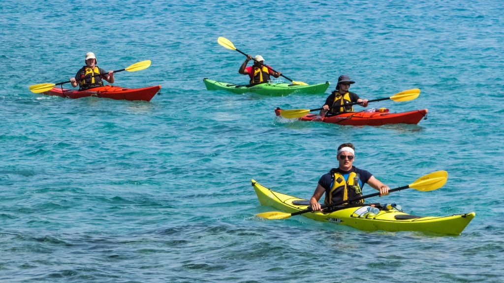 A group of people using the best kayak paddle.