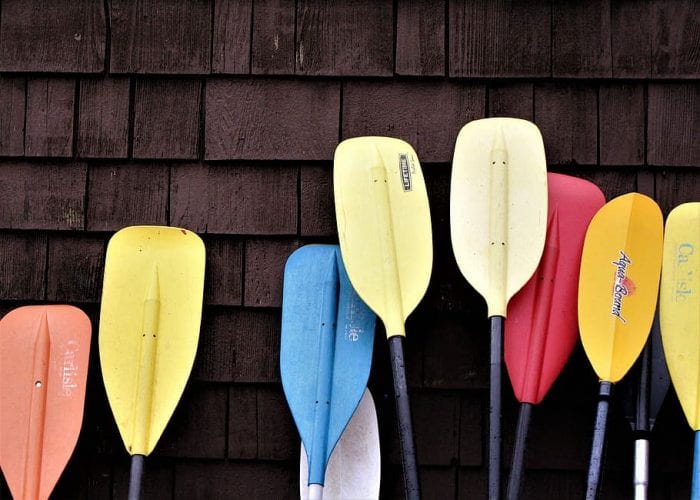 Kayak paddle options. A good kayak paddle is essential.