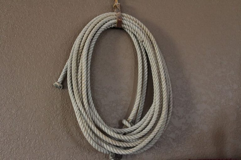 The TopNotch Lasso That A Beginner Needs FamilyHype