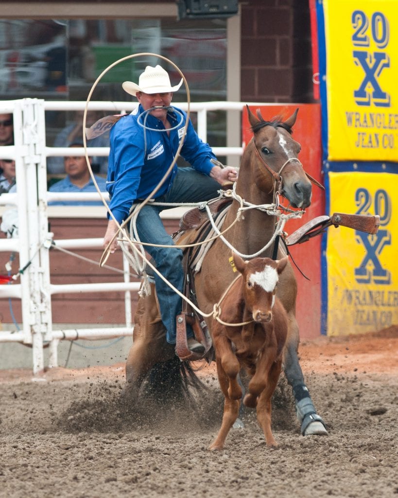 A cowboy is using a lariat rope while riding a horse.
