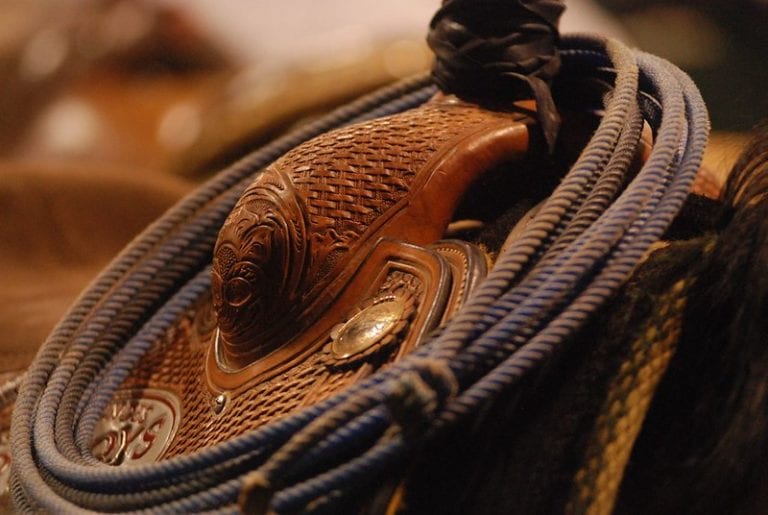 The TopNotch Lasso That A Beginner Needs FamilyHype