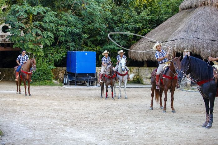 Many cowboys are using their lariat rope while riding their horses