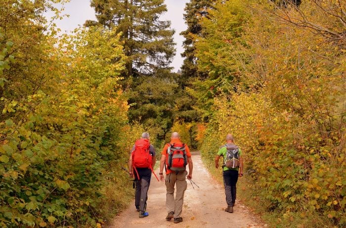 Group of men hiking in the woods with poncho for wet weather