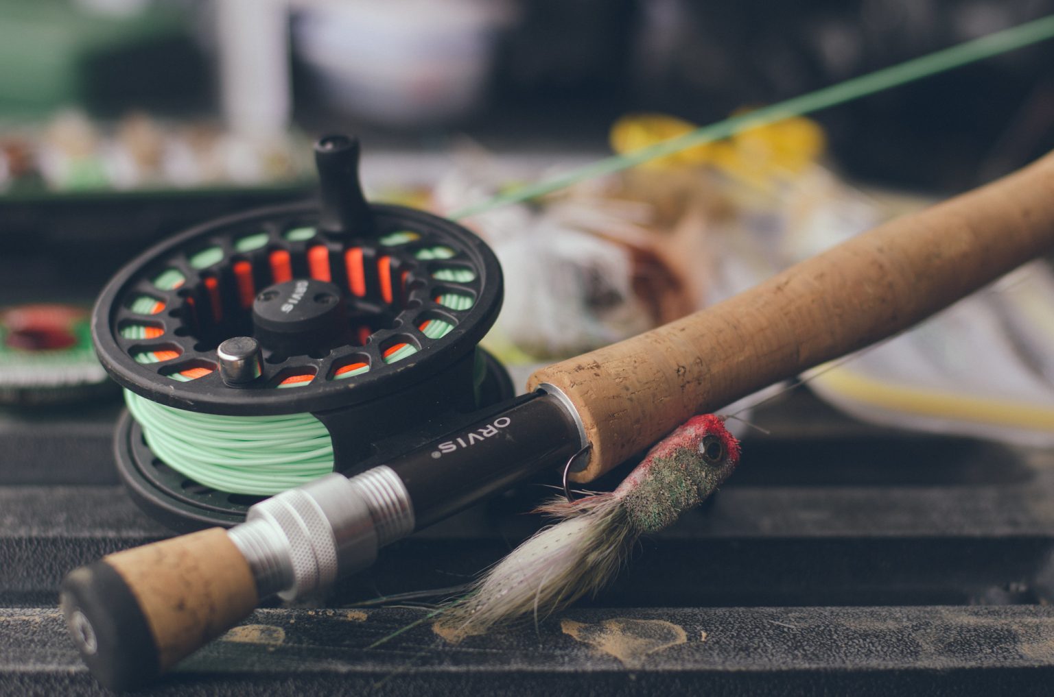 Best Fly Fishing Combo Under 200 Essential Gears and Savings FamilyHype