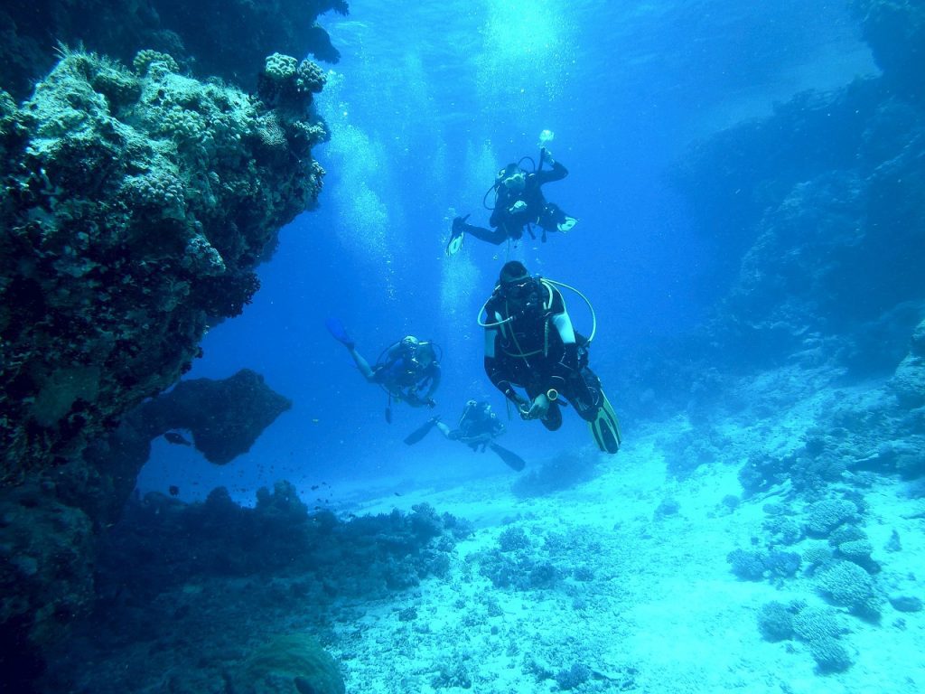 Group of diver in the ocean