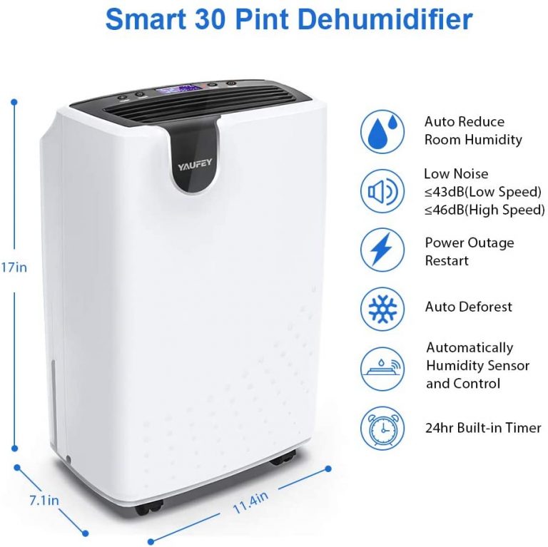 Top 5 Best Dehumidifiers Family Hype