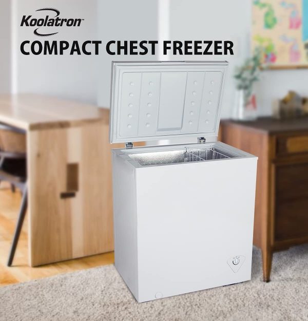 Chest Freezers Family Hype